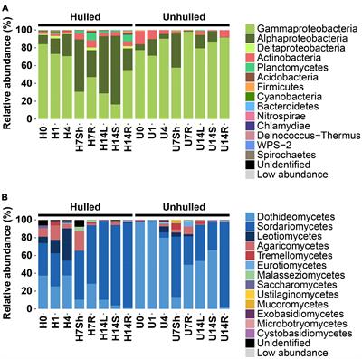 Spatiotemporal Assembly of Bacterial and Fungal Communities of Seed-Seedling-Adult in Rice